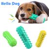 Toothbrush Chewy Dog Toy