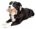 Ultra-Plush Chewy and Squeaking Dog Toys (Set of 2)