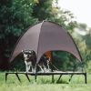 Elevated Dog Bed Tent with Canopy