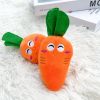 Plush Double-Bone Chicken Leg & Carrot  Dog Toy