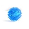 Squeaky Chewy Spike Dog Ball Toy