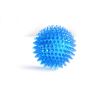 Colorful Spiky Squeaky Ball Toy