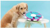 Food & Treat Slow Feeder, Interactive Puzzle Dog Toy