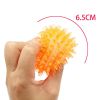 Colorful Spiky Squeaky Ball Toy