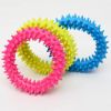 Durable, Colorful Round Spiky Chew Dog Toy